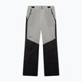 Spodnie narciarskie męskie Oakley Canopy Pro Insulated Pitch Black/Cement 6