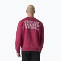 Bluza męska Everlast Neutrals Crewneck bordeaux 3