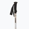 Kije trekkingowe Fizan Trek Pro beige/black 2