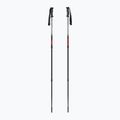 Kije trekkingowe  Fizan Explorer beige/red