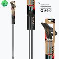 Kije nordic walking Fizan Carbon Pro Impulse grey 6