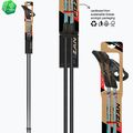 Kije nordic walking Fizan Tekno Impulse grey 6