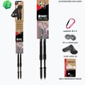 Kije nordic walking Fizan Speed black 5