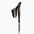 Kije nordic walking Fizan Speed beige 2
