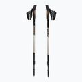 Kije nordic walking Fizan Speed beige 5
