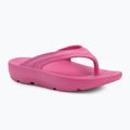 Japonki damskie Ellesse Aletha fuxia