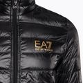 Kurtka męska EA7 Emporio Armani Train Core ID Down Light black/gold logo 8