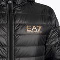 Kurtka męska EA7 Emporio Armani Train Core ID Down Light Hoodie black/gold logo 3
