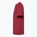 Koszulka męska Oakley Bark Ellipse Tee iron red 3