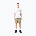 Koszulka męska Oakley Wired Mtn Scape Tee white