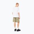 Koszulka męska Oakley Wired Mtn Scape Tee white 3