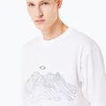 Koszulka męska Oakley Wired Mtn Scape Tee white 5