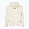 Bluza męska Oakley MTL PO Hoodie mist 2