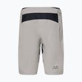 Spodenki rowerowe męskie Oakley Free Ride Lined cement 2