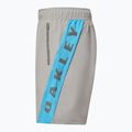 Spodenki męskie Oakley Training Sidepanel cement 3