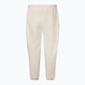 Spodnie męskie Oakley Canyon View Jogger mist 2