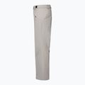 Spodnie narciarskie męskie Oakley Canopy Insulated cement 8