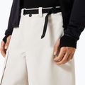 Spodnie snowboardowe męskie Oakley Channel Cargo mist 6