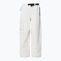 Spodnie snowboardowe męskie Oakley Channel Cargo mist 8