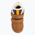 Buty dziecięce Geox Elthan tobacco/navy 6