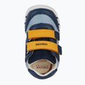 Buty dziecięce Geox Iupidoo sky / navy 12