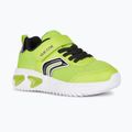 Buty juniorskie Geox Assister lime/black