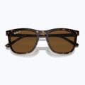Okulary przeciwsłoneczne Ray-Ban RB2210 havana/brown polarized 3