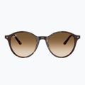 Okulary przeciwsłoneczne Ray-Ban Bernard havana/brown gradient 2