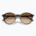 Okulary przeciwsłoneczne Ray-Ban Bernard havana/brown gradient 3