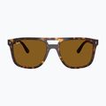 Okulary przeciwsłoneczne Ray-Ban RB2213 havana/brwon b-15 2