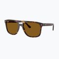 Okulary przeciwsłoneczne Ray-Ban RB2213 havana/brwon b-15 4