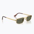 Okulary przeciwsłoneczne Ray-Ban RB3927 By A$Ap Rocky