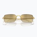 Okulary przeciwsłoneczne Ray-Ban RB3928 By A$Ap Rocky arista gold/brown gold 3