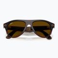 Okulary z kamerą Ray-Ban Meta Aviator transp. umber/trs jade 9