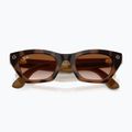 Okulary z kamerą Ray-Ban Meta Zena havana/gradient brown 6