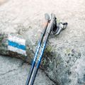Kije nordic walking Fizan Lite 4 blue 5