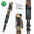 Kije trekkingowe Fizan Voyager petrol 3