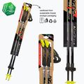 Kije nordic walking Fizan Speed Race grey 3