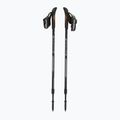 Kije nordic walking Fizan Speed 100043 black 5
