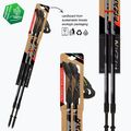 Kije nordic walking Fizan Speed 100043 black 3