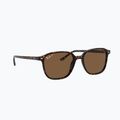 Okulary przeciwsłoneczne Ray-Ban Leonard tortoise/brown polarized
