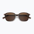 Okulary przeciwsłoneczne Ray-Ban Leonard tortoise/brown polarized 3