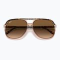 Okulary przeciwsłoneczne Ray-Ban Bill havana brown/transparent brown 3