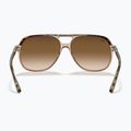 Okulary przeciwsłoneczne Ray-Ban Bill havana brown/transparent brown 5
