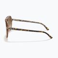 Okulary przeciwsłoneczne Ray-Ban Bill havana brown/transparent brown 7