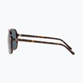 Okulary przeciwsłoneczne Ray-Ban Bill havana/blue 7