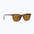 Okulary przeciwsłoneczne Ray-Ban Elliot havana brown/black polarized