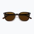 Okulary przeciwsłoneczne Ray-Ban Elliot havana brown/black polarized 3