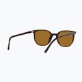 Okulary przeciwsłoneczne Ray-Ban Elliot havana brown/black polarized 6