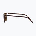 Okulary przeciwsłoneczne Ray-Ban Elliot havana brown/black polarized 7